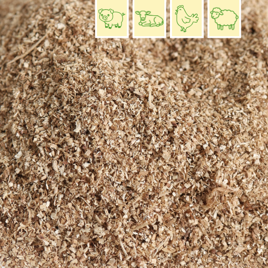 acacia-sawdust-bedding-product