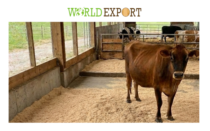japanese-livestock-bedding-standards-3