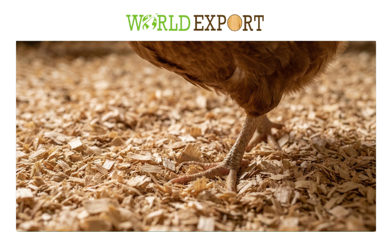 how-to-reduce-ammonia-in-chicken-coop-3