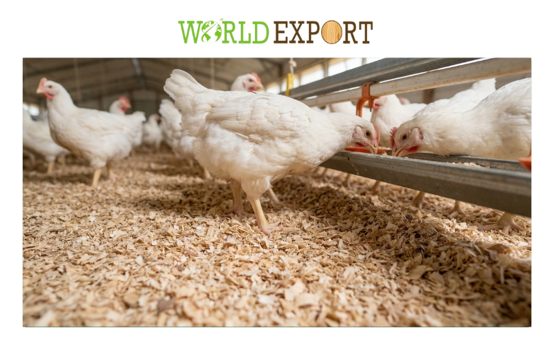 export-Wood-Shavings-to-Japan-and-Korea-1